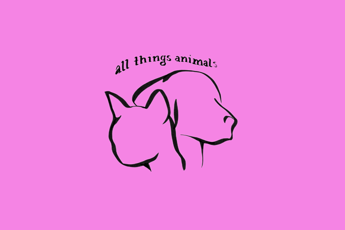 All Things Animals Ep. 3: Capturing injustice pt. 1