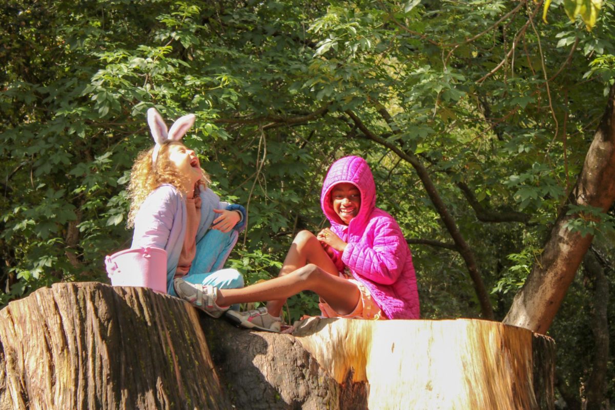 Two children sit atop a large tree stump, laughing as they count their easter eggs. The egg hunt areas were divided into multiple age groups, allowing for greater accessibility and fairness among differing children.