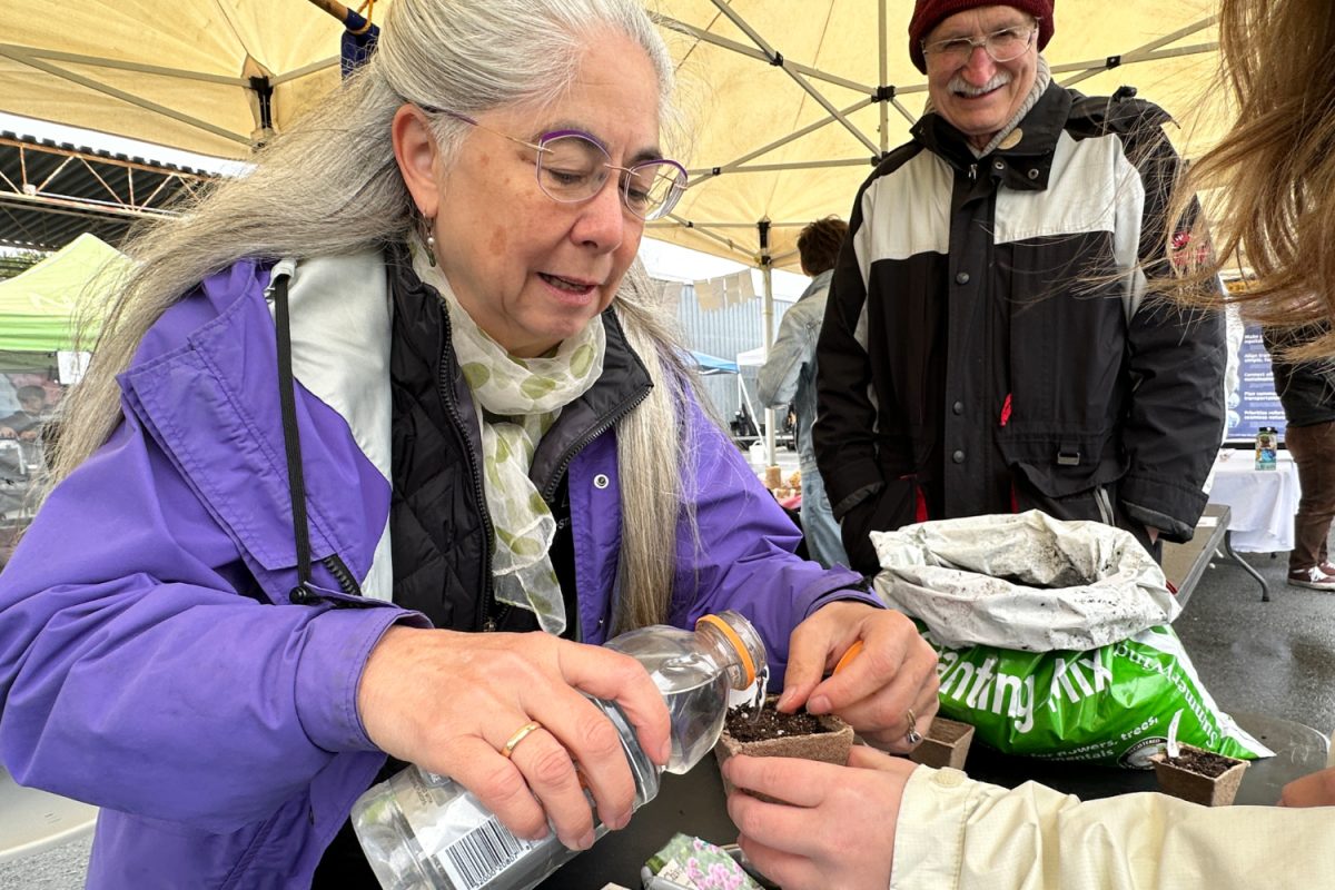 A member of the Rotary Club of East Palo Alto helps an attendee of the festival plant a basil seed into a biodegradable cup.