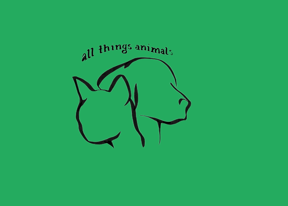 All Things Animals Ep. 4: Bridging the gap