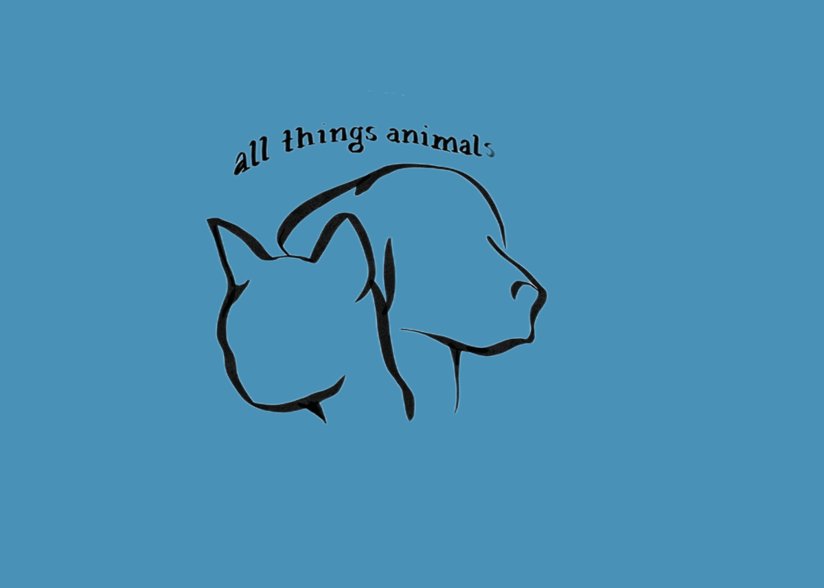 All Things Animals Ep. 3: Capturing injustice pt. 2