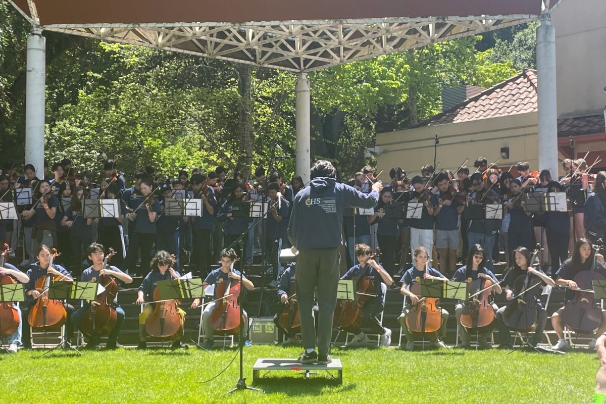 Carlmonts String Orchestra, led by student conductor Aidan Yang, performs in the Celebrate the Music Festival.