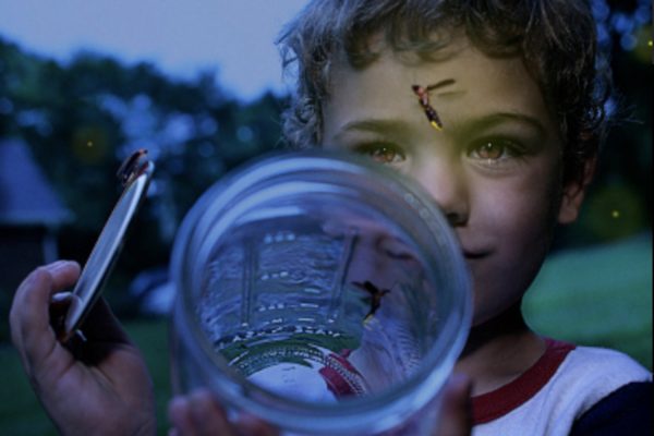 A boy looks at a firefly with wonder.