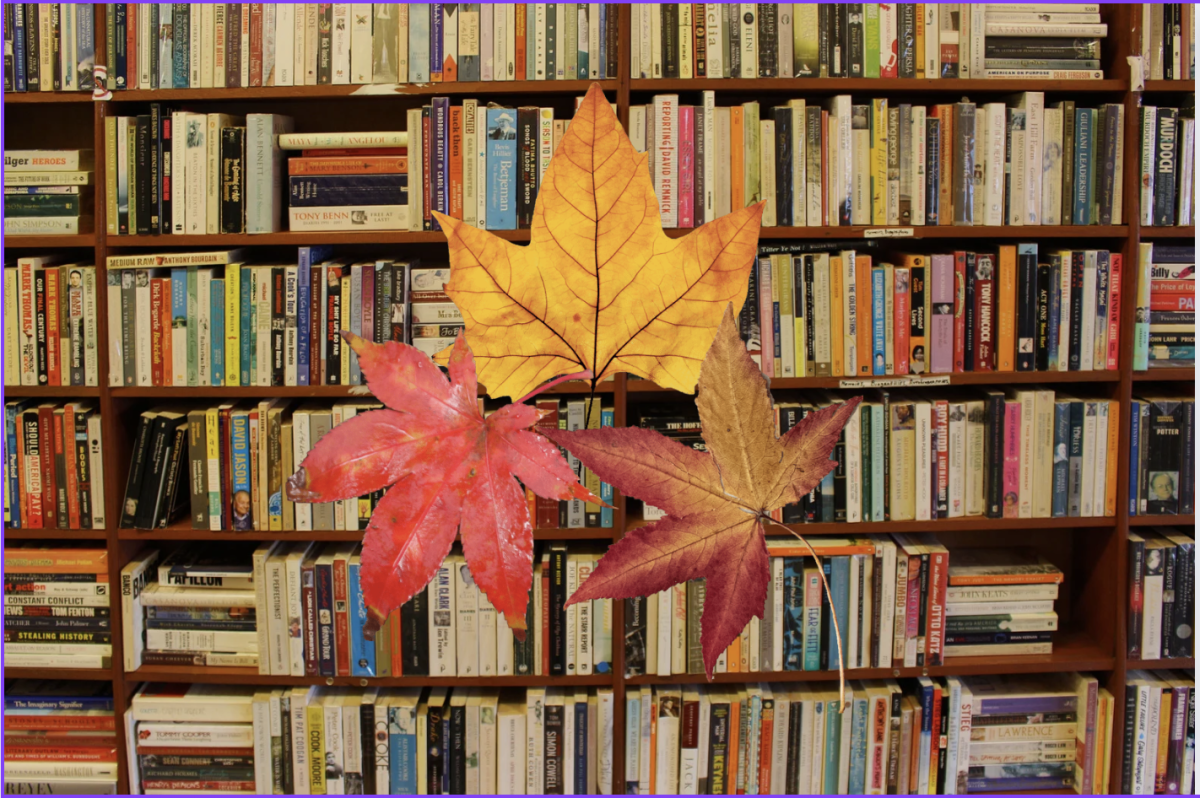 Cozy up this fall with a good book!