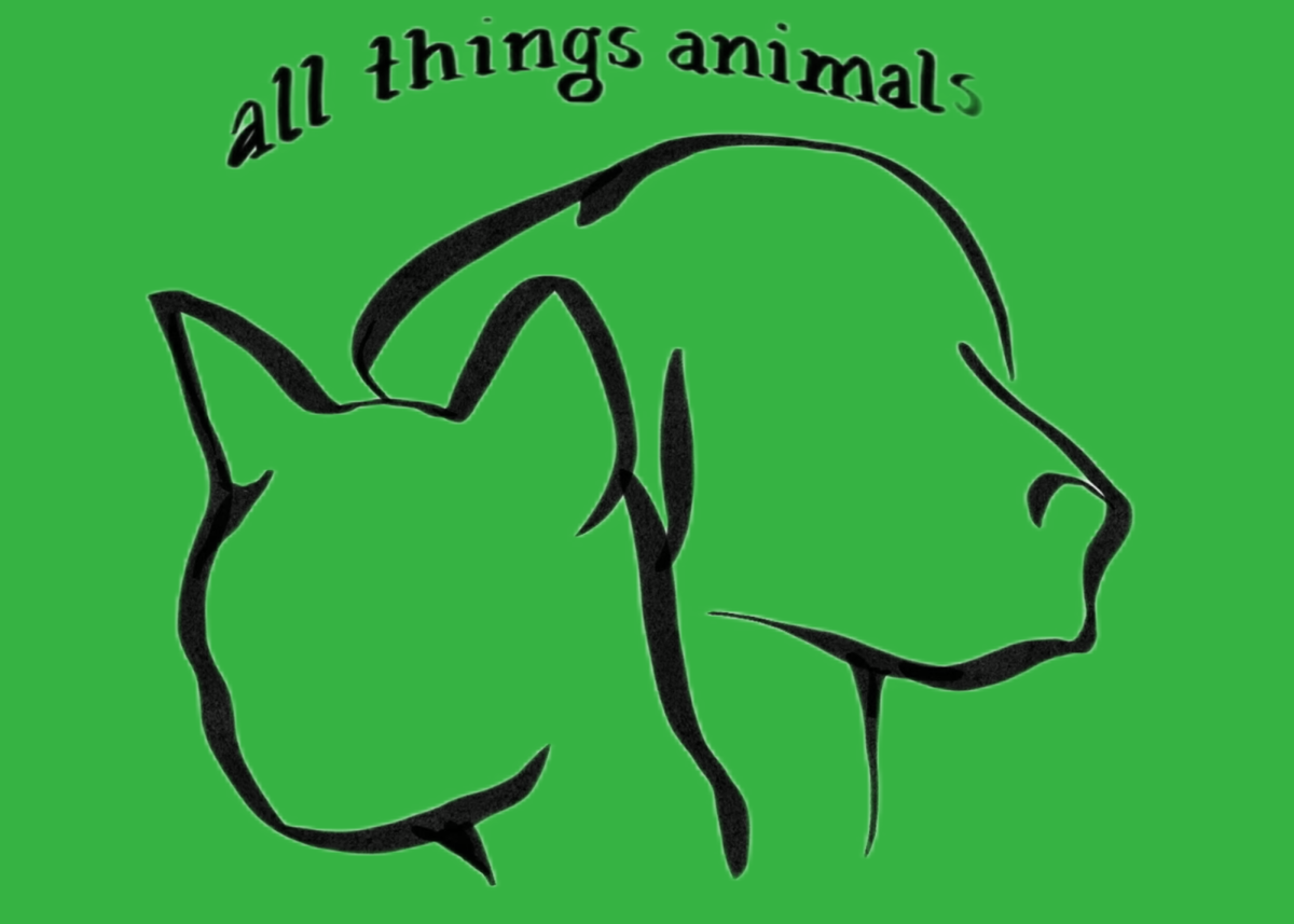 All Things Animals Ep. 4: Bridging the gap