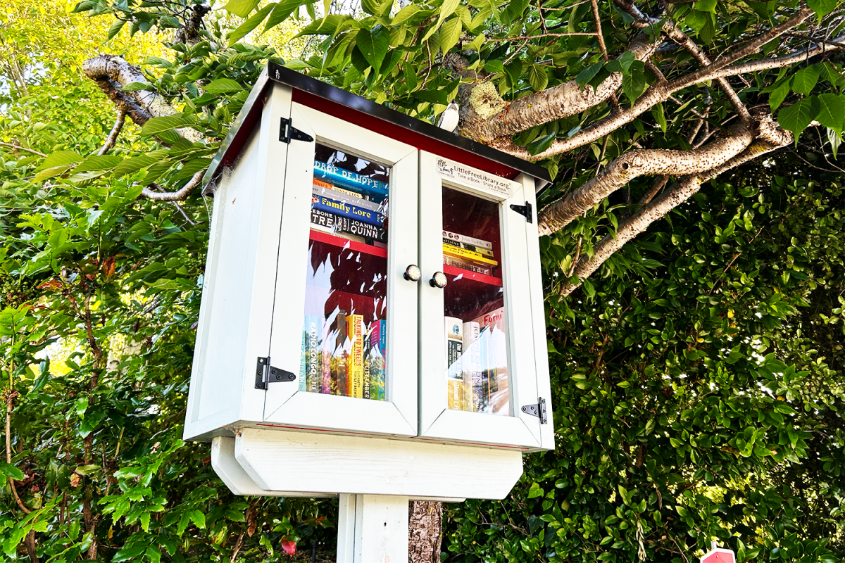 In an effort to promote reading, little lending libraries have been set up around the United States and other countries. But why do people stop reading? “I think people’s attention spans are getting shorter,” said Joseph Espinosa, an art teacher at Carlmont. 