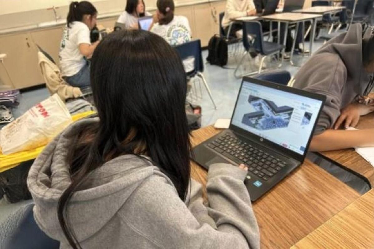 A student works on the business stimulation for the VBC. The challenge teaches students practical skills that can be used in the modern world in an online setting.