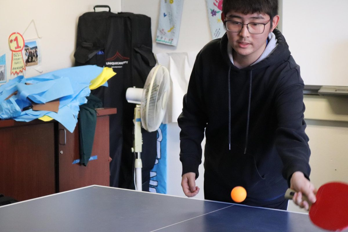 Love of table tennis transcends international barriers