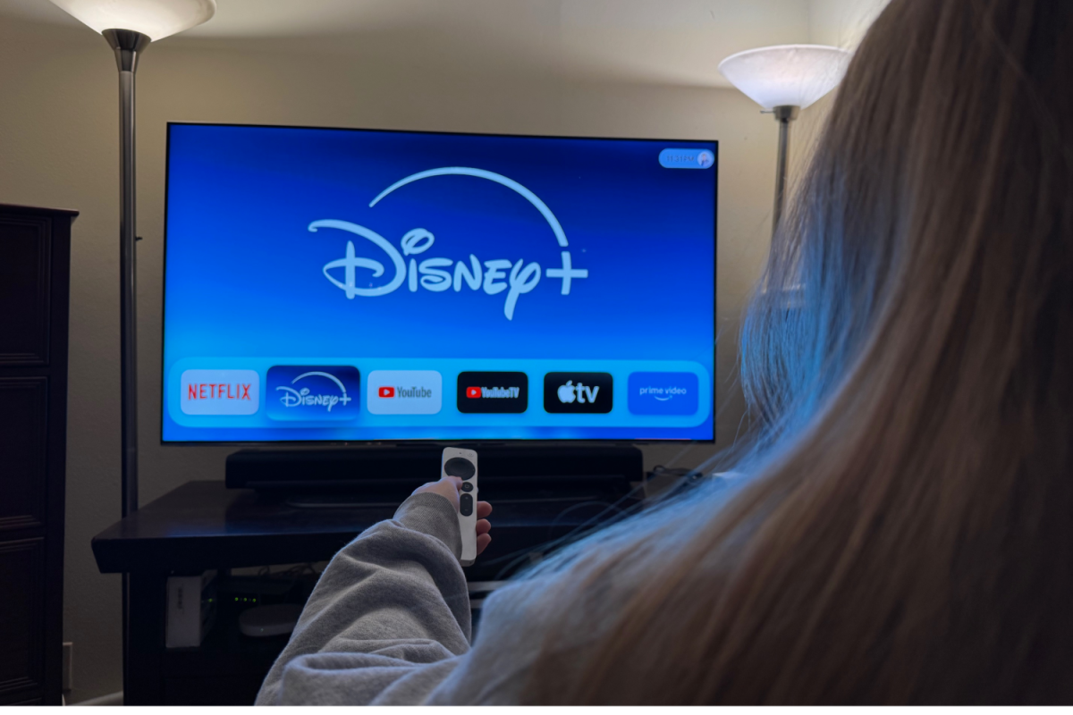 A student is looking for something new to watch on her TV. There are many options coming to streaming in the next few months. "Movies and shows are more convenient to watch at home,” said Klara Bichler. 