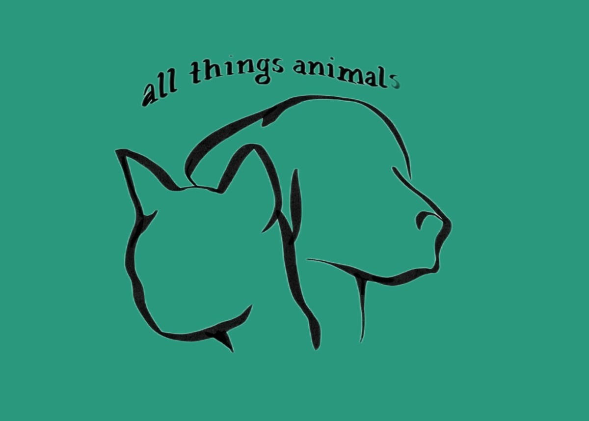 All Things Animals Ep. 6: Exploring animal science with Sam Shetty