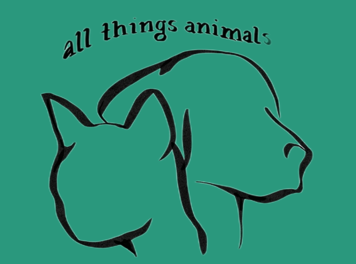 All Things Animals Ep. 6: Exploring animal science with Sam Shetty