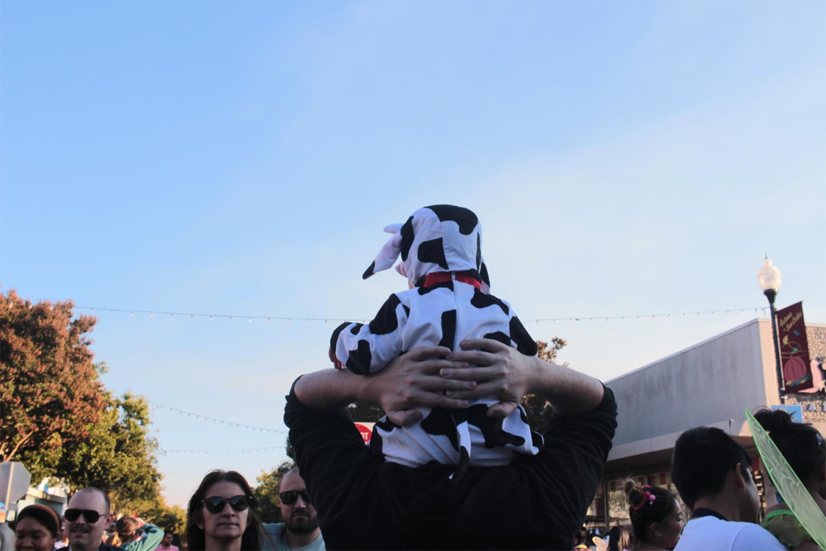 A baby dressed as a cow gets a skyward view of the Goblin Walk.