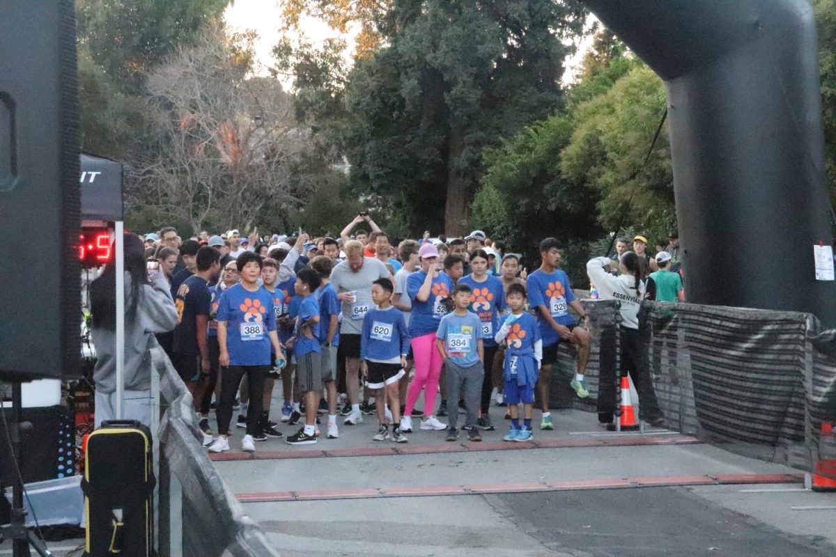 Runners of all ages warm up for the 5K race sporting T-shirts Carlmont student interns on the design team created. Design is one of four student intern teams which organized and promoted the race, headed by Huan Phan.