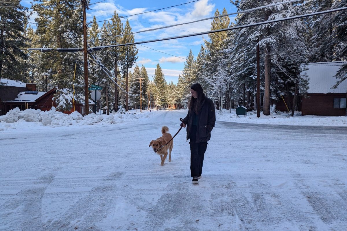 A high school student takes her dog for a walk. Even getting outside for a short amount of time  in this way can help improve mental and physical health.