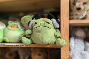 In Five Little Monkeys, a store located in Burlingame, California, a frog Jellycat sits on a shelf surrounded by other stuffed animals. "The popularity has increased in the past year significantly," said Michele Tambini, the manager of the store.