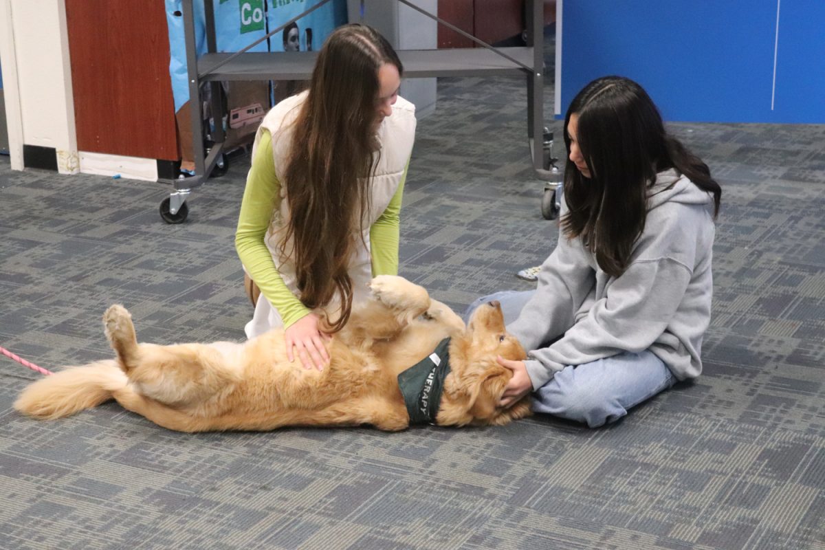 Two students pet one of the dogs that the Peninsula Humane Society brought to the Dogs in the Quad event. These dogs were meant to alleviate stress students are feeling before finals.  