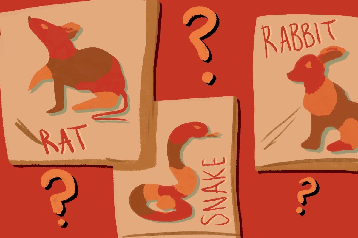 Quiz: Which Chinese zodiac animal are you?