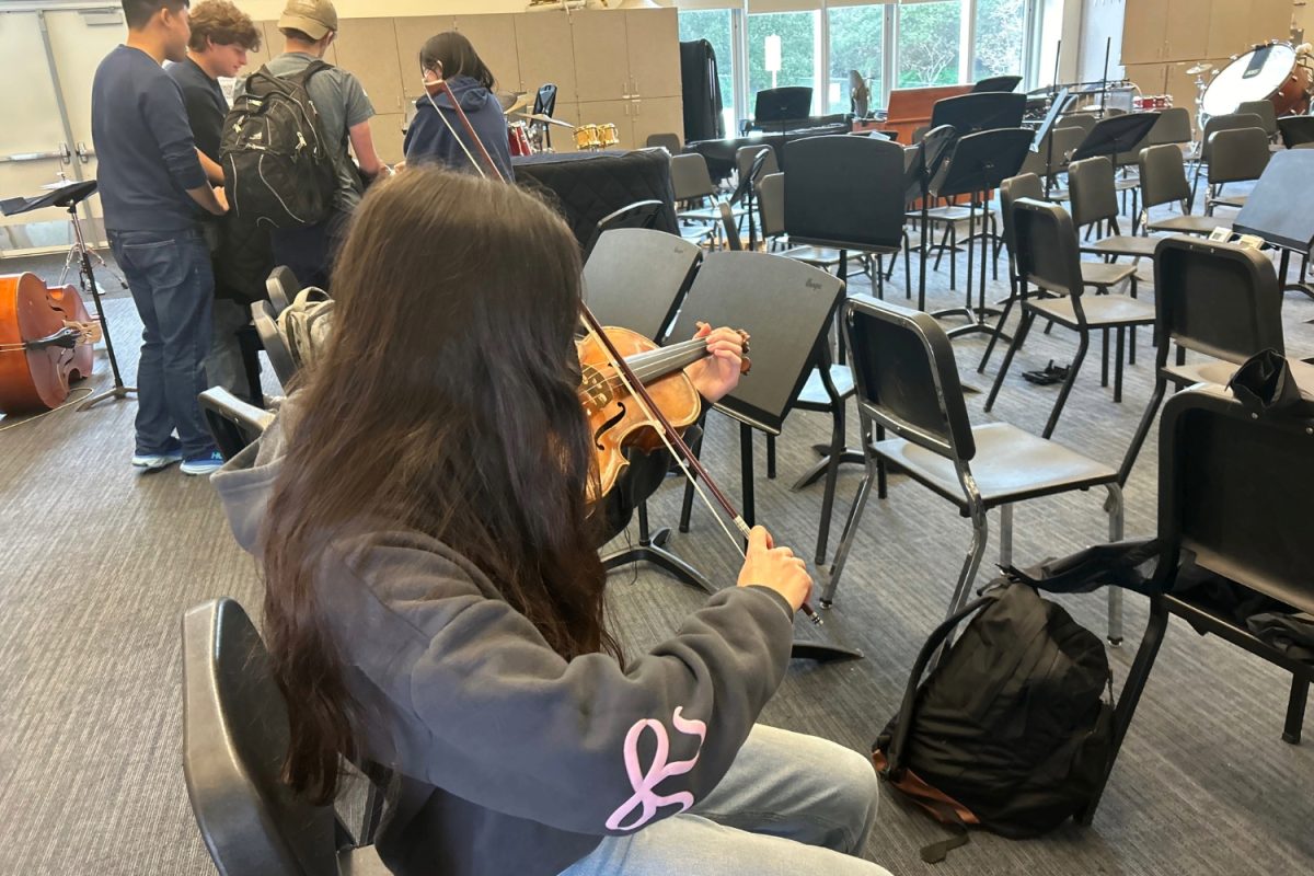 A student in the orchestra prepares for the field trip. "I was thrilled to see how people would react to our music," said Tessa Cuchelkar. 