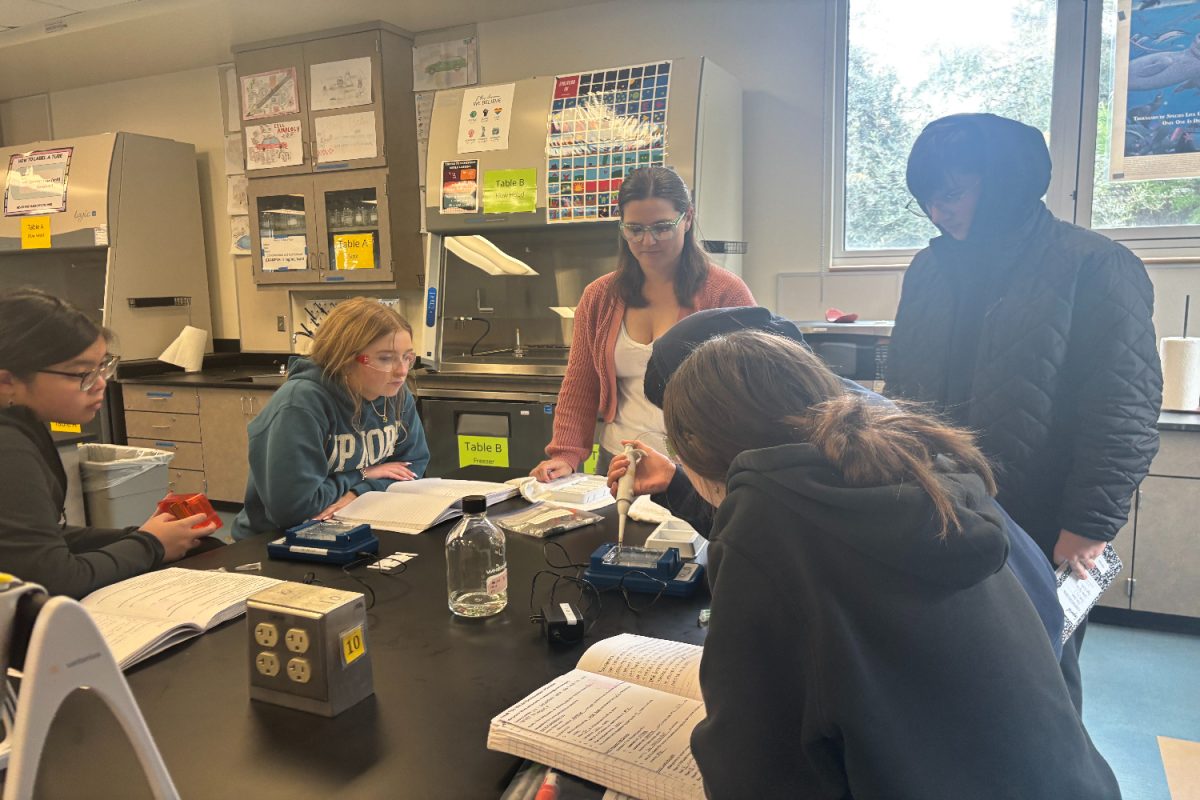 Jennifer O'Hara helps her students in an important part of their lab. At this stage of their work, O'Hara helps the group pipette an essential liquid for their experiment. 