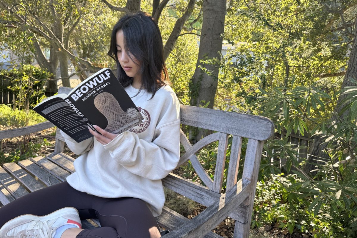 A student reads "Beowulf" as part of their English class curriculum. Literature such as this one has been standardized in many high school classes over other diverse literary options. 