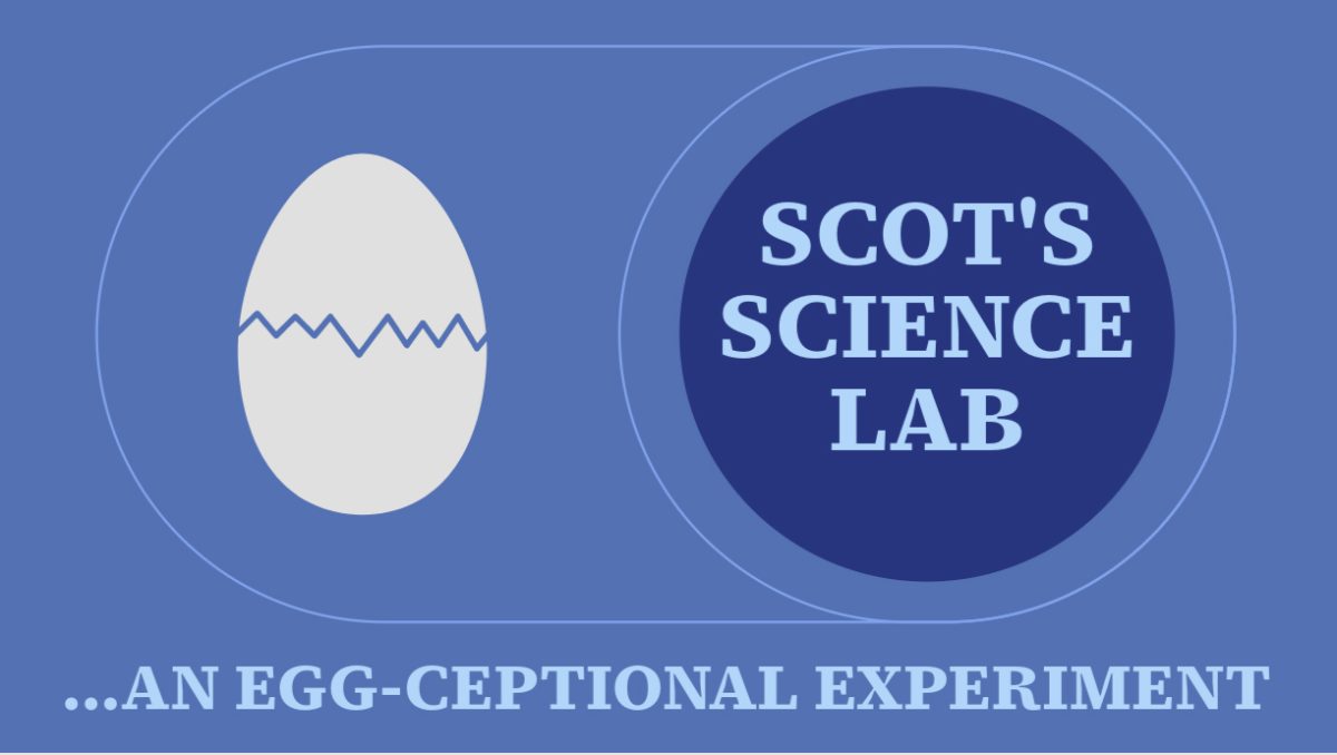 Scots’ Science Lab: An Egg-ceptional Experiment