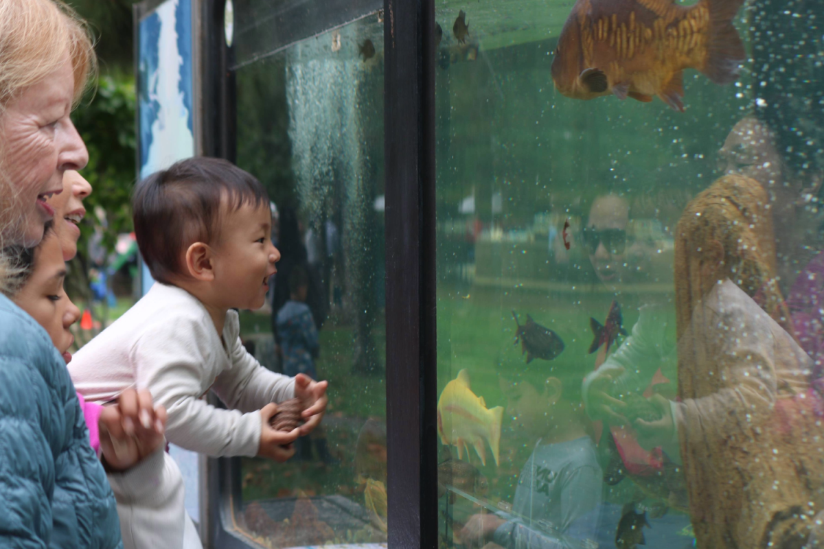 aquarium