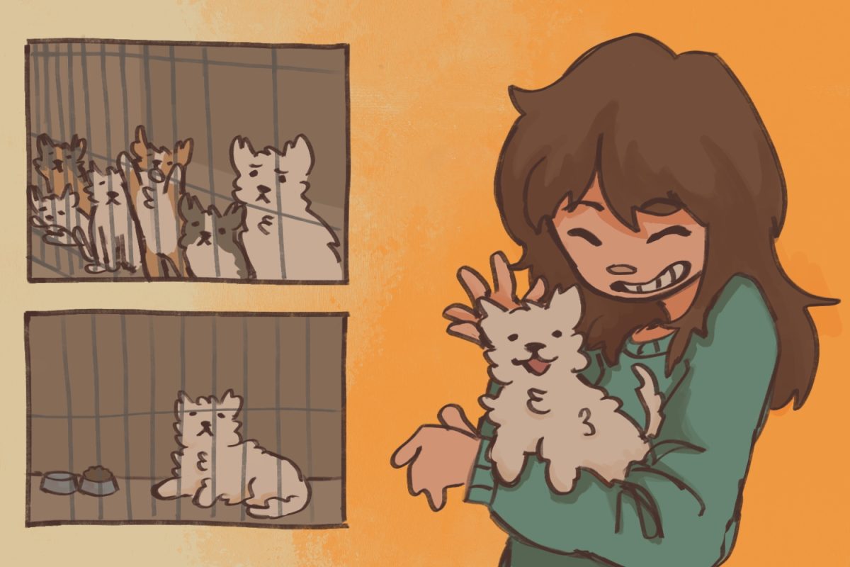 In the first half of 2025, 2.8 million cats and dogs entered shelters and rescues across the United States, according to Shelter Animals Count. Many families have considered getting a pet, but sometimes, animals find their forever homes in the most unexpected circumstances. From rescue to fostering, a dog goes through a lot before finally finding the right home.