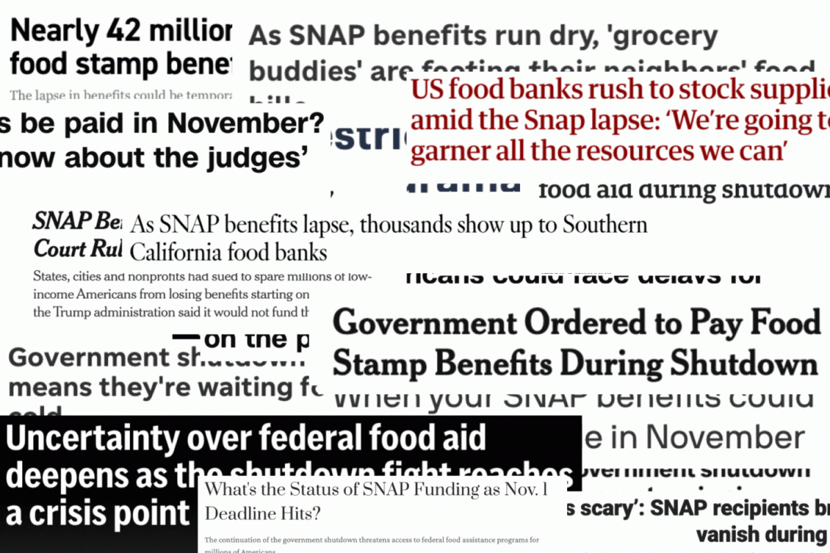 With Supplemental Nutrition Assistance Program (SNAP) benefits delayed in states throughout the country, many have responded in different ways, from suing the Trump administration to deploying the National Guard. In California, Gov. Gavin Newsom has done both; however, not all food banks throughout the state are accepting the California National Guard's aid, as many do not need the help or have enough resources to adequately utilize the guard. "They're kind of like termites in the best way. They're not like a normal volunteer group, and so if anything, you have to keep them busy because they're so high-functioning and physical," said Allison Goodwin, the president and CEO of Redwood Empire Food Bank.