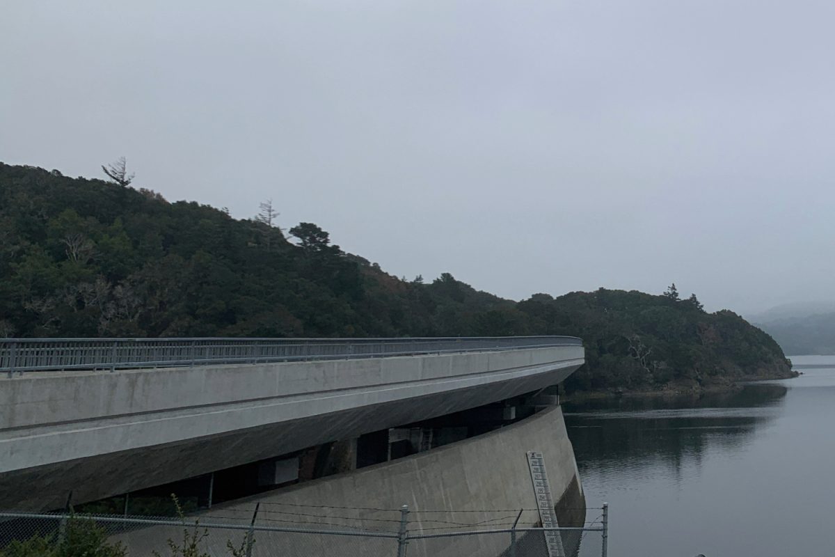 The Crystal Springs Dam is located in the Bay Area, often covered in fog. Dams offer many benefits, providing drinking water and flood control, but they can also cause environmental issues, especially fish migration. “Just by a dam’s presence, it changes the dynamics of the ecosystem around it,” said Kelly Catlett, the Hydropower Reform director at American Rivers.