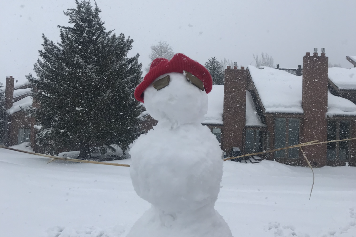 Simple activities like building snowmen in the winter can bring so much joy to the day. Being outdoors in the winter is often overlooked but still incredibly important, so playing in the snow is a fun and easy way to still be in nature.