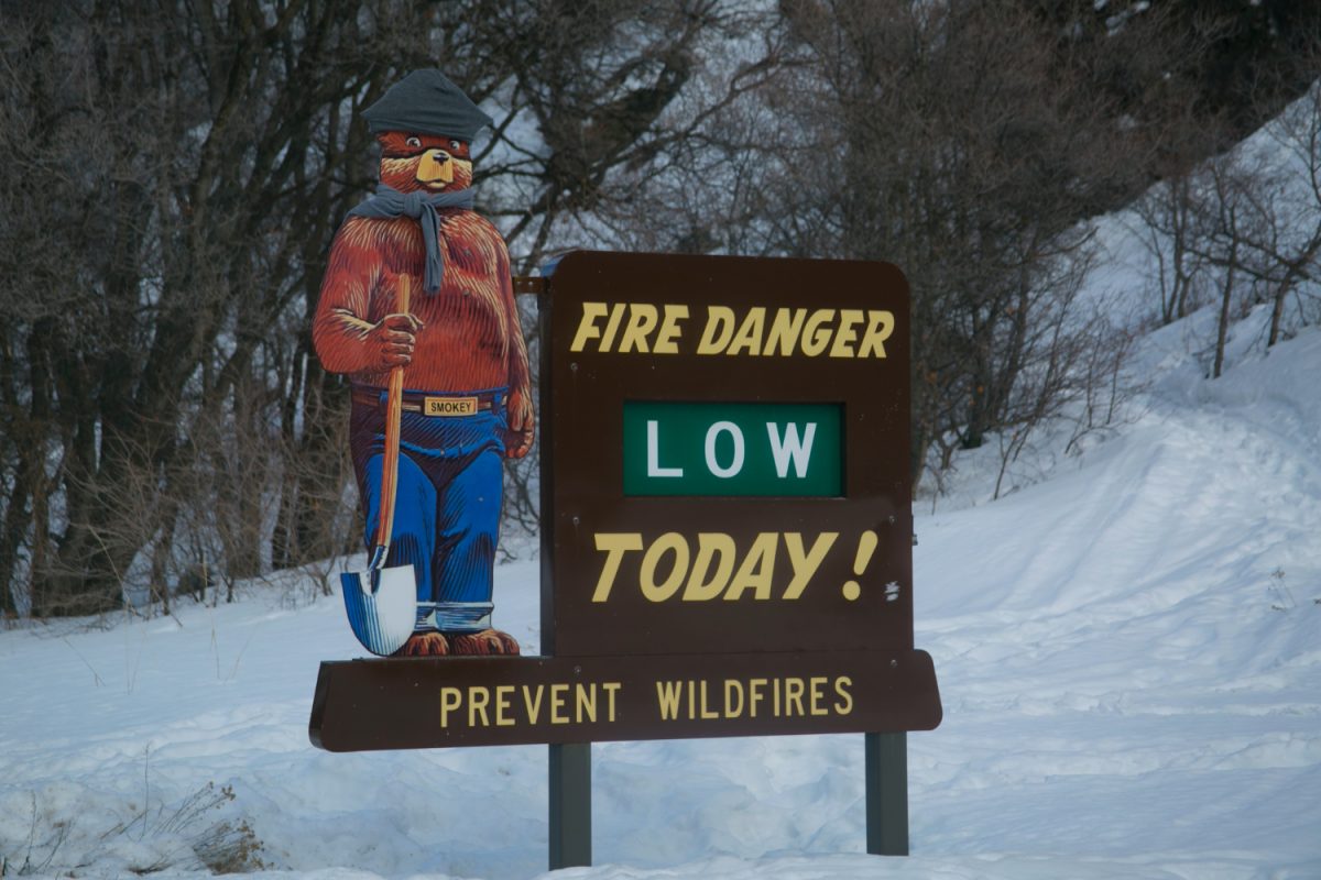 A sign showing that fire danger is low, with snow in the background. This reflects the current conditions in California, where precipitation has caused a lower fire risk for now. 