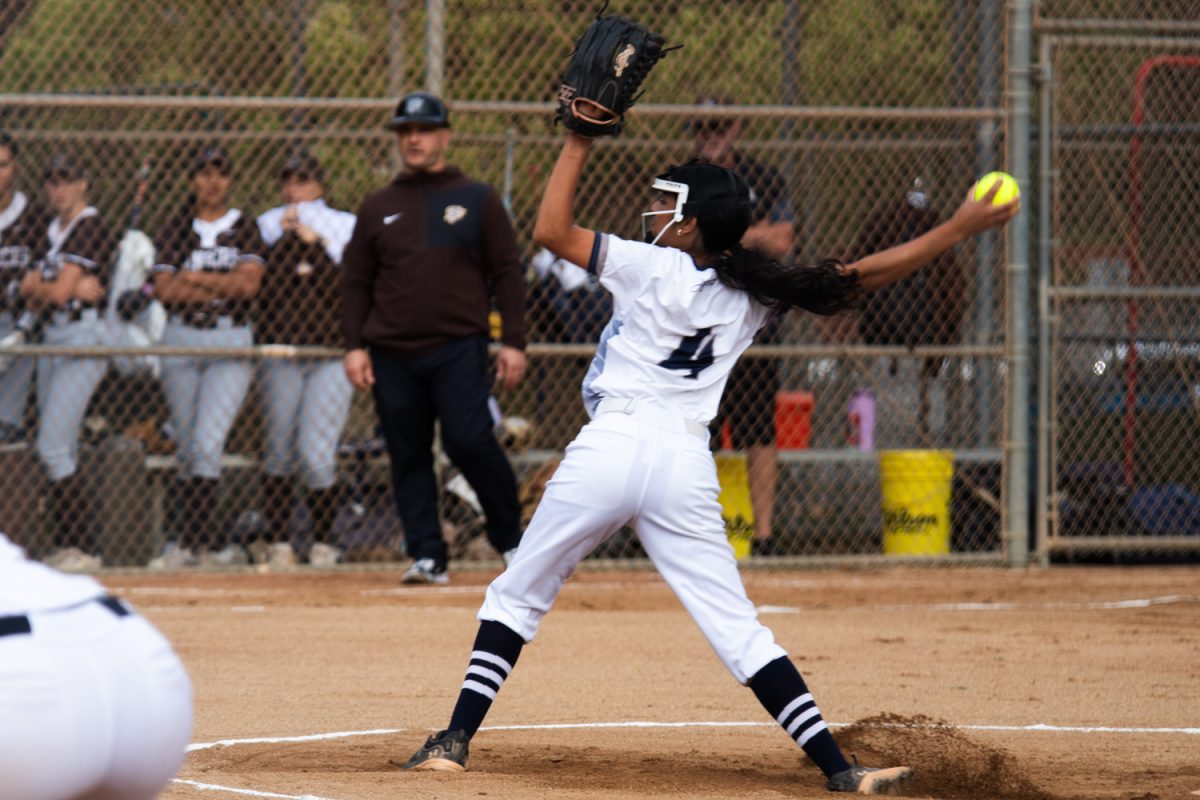 vsoftball4_1-10