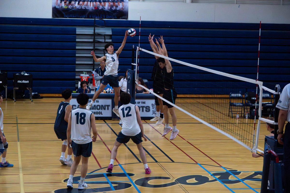 volleyball 5.12-11